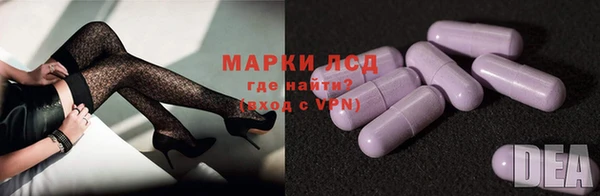 крисы Наволоки