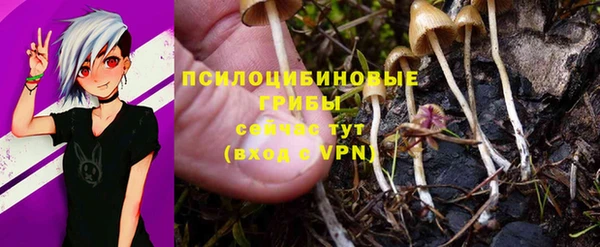 хмурый Абинск