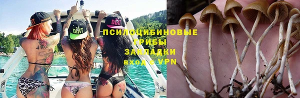 сатива Навашино