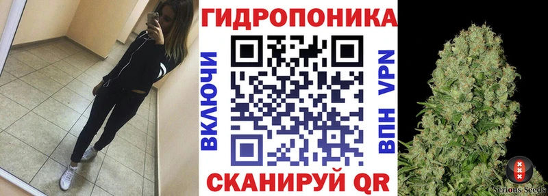 Конопля MAZAR  Советск 